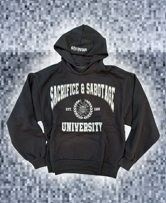 S&S UNIVERSITY HOODIE (WASHED BLUE)